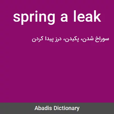 معنی spring a leak